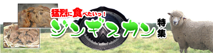 �����˿��٤��������󥮥������ý�